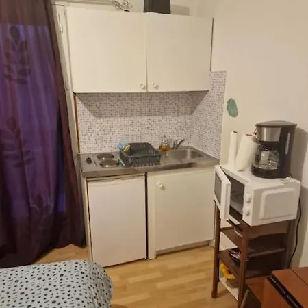 Champigny-sur-marne Apartment Nogent-sur-Marne